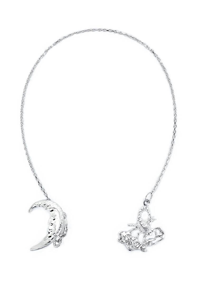 Серебряный ионизатор  воды Зодиак шир.  750, рис. 23