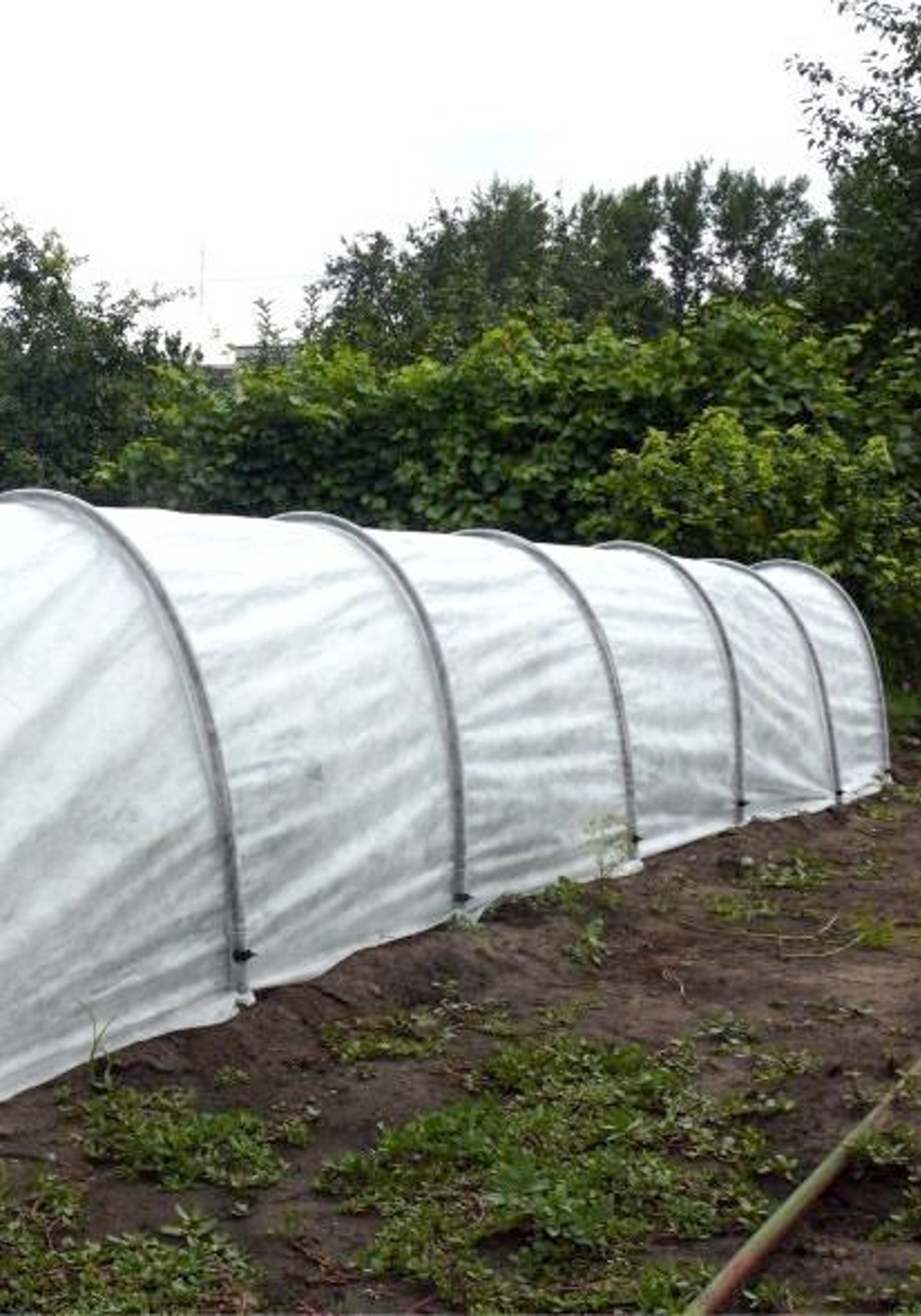 Парники Для Дачи Распродажа Цена