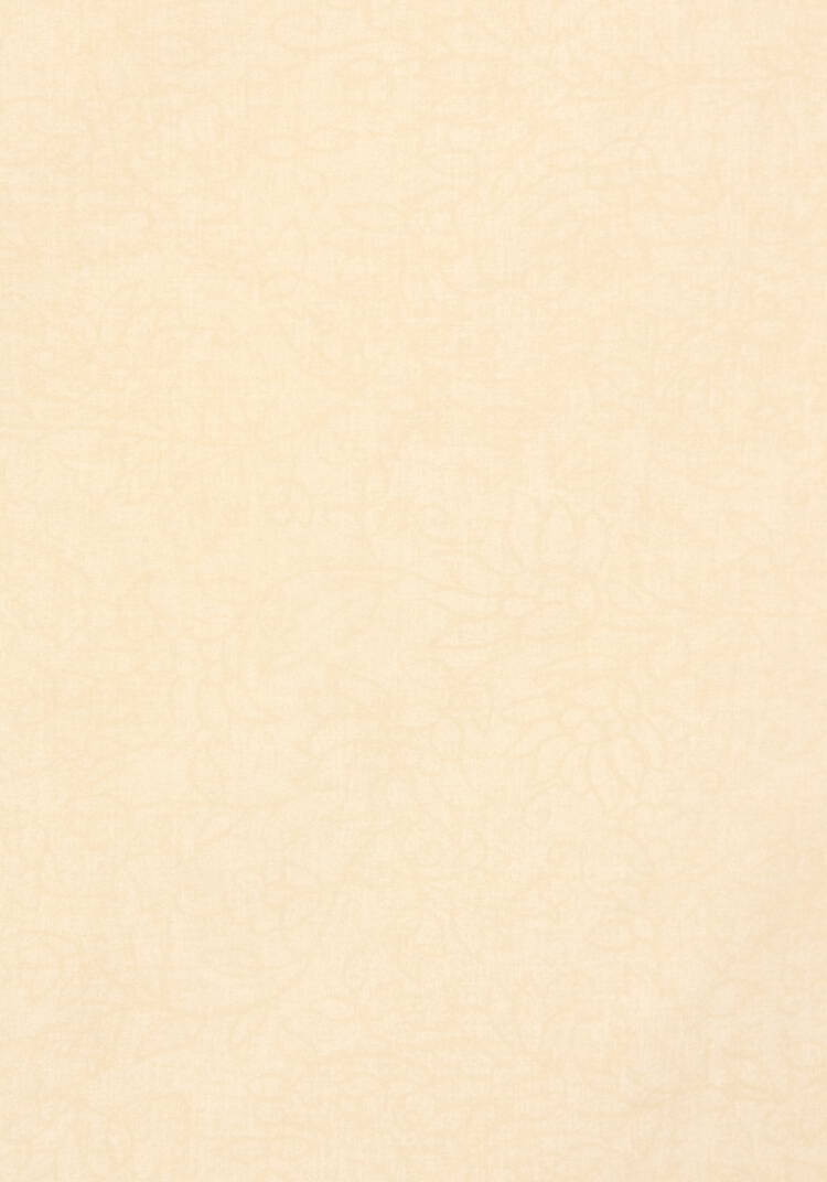 КПБ поплин 3D Амалия шир.  750, рис. 7