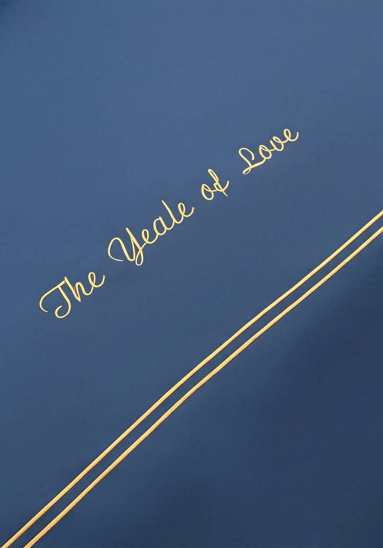 КПБ сатин с вышивкой, евро шир.  750, рис. 28