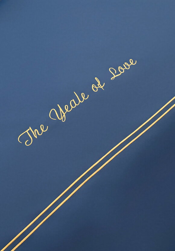 КПБ сатин с вышивкой, евро шир.  580, рис. 28