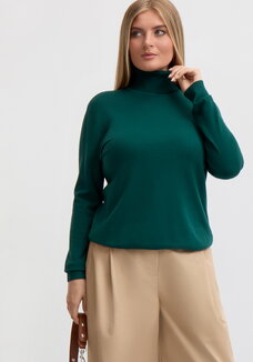 Водолазка Снежана