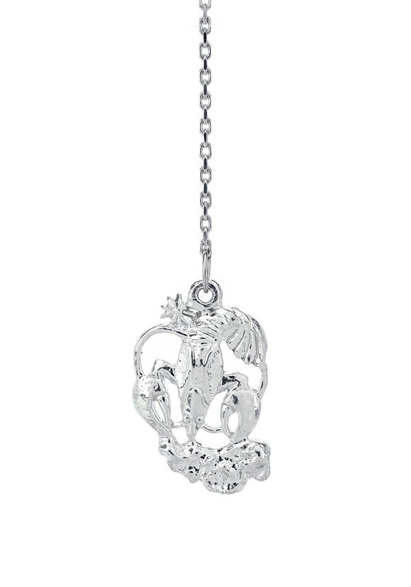 Серебряный ионизатор  воды Зодиак шир.  580, рис. 20