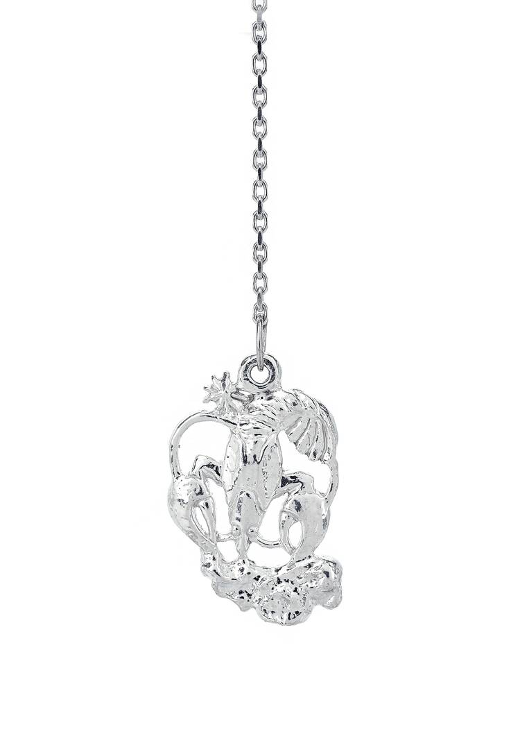 Серебряный ионизатор  воды Зодиак шир.  750, рис. 20