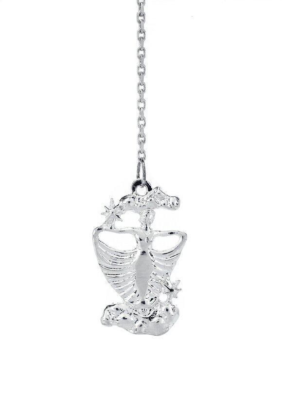 Серебряный ионизатор  воды Зодиак шир.  580, рис. 12