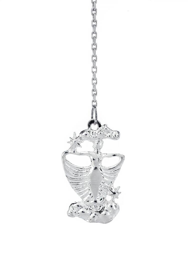 Серебряный ионизатор  воды Зодиак шир.  750, рис. 12