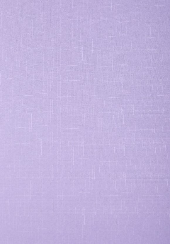 Рулонная штора Гладь шир.  580, рис. 12