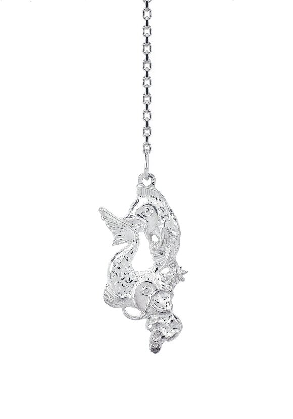 Серебряный ионизатор  воды Зодиак шир.  580, рис. 22