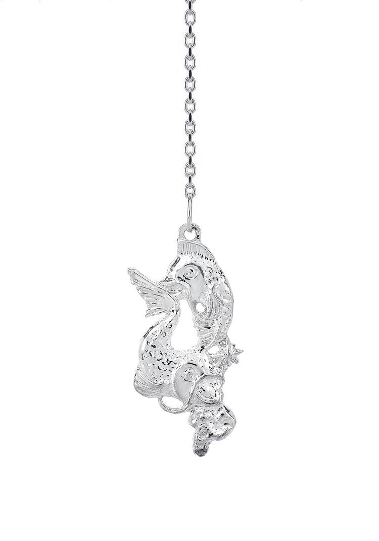 Серебряный ионизатор  воды Зодиак шир.  750, рис. 22