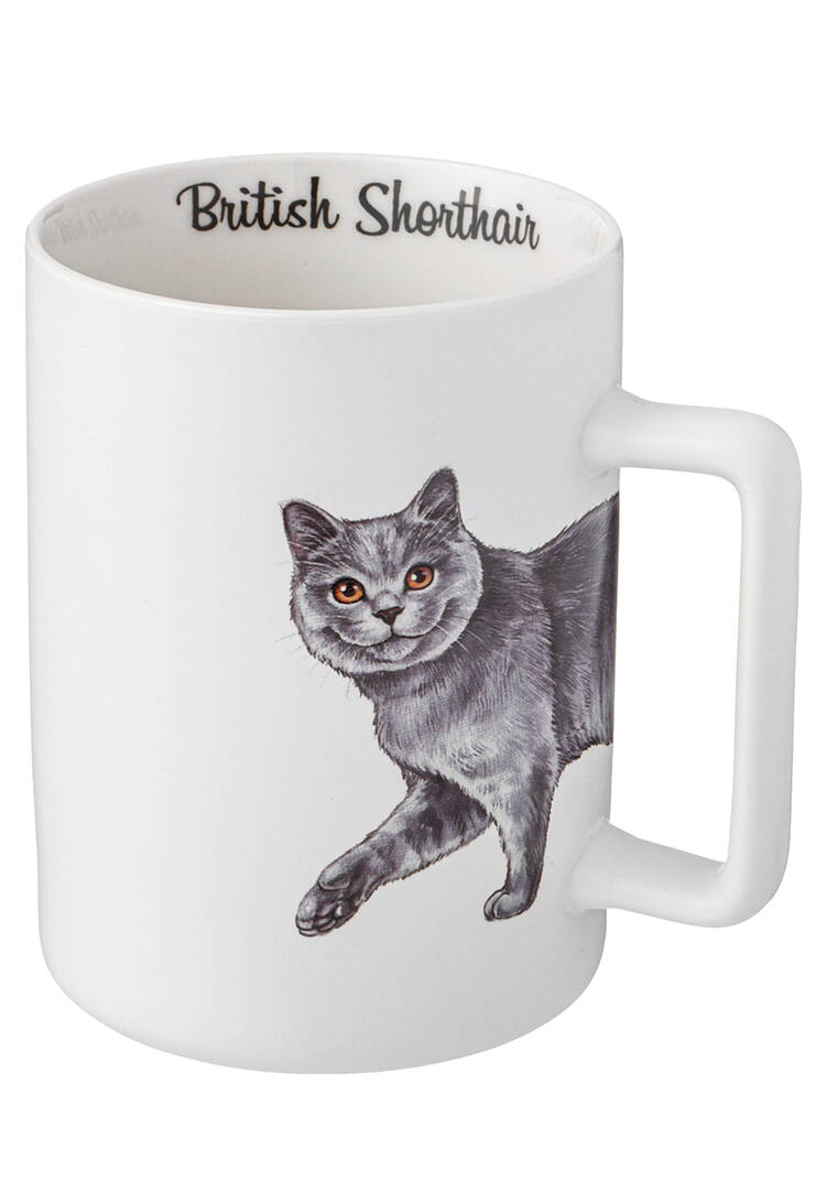 Кружки из фарфора Любимцы, 2 шт. шир.  750, рис. 6