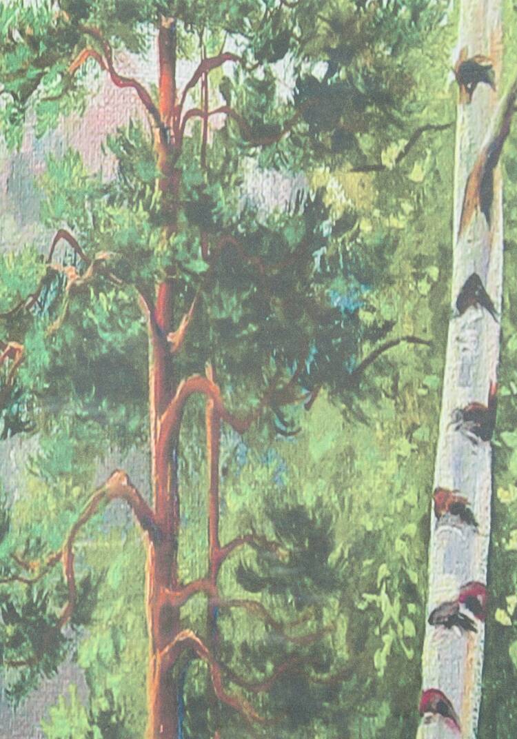 Комплект фотоштор Пейзажи шир.  750, рис. 4