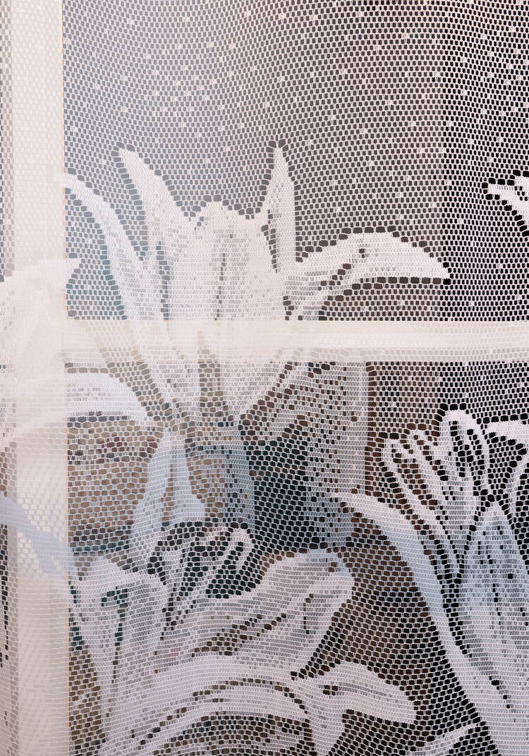 Тюль-занавеска Флора шир.  750, рис. 6