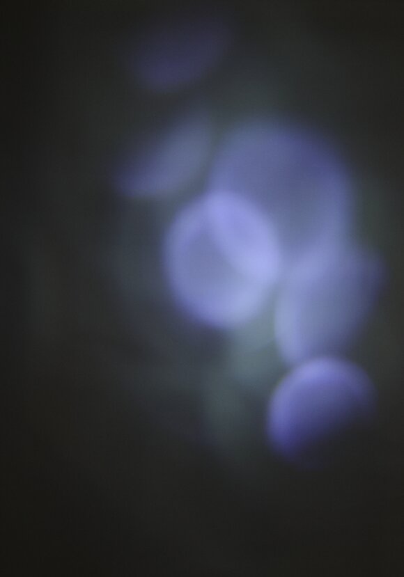 Проектор Магия праздника шир.  580, рис. 7