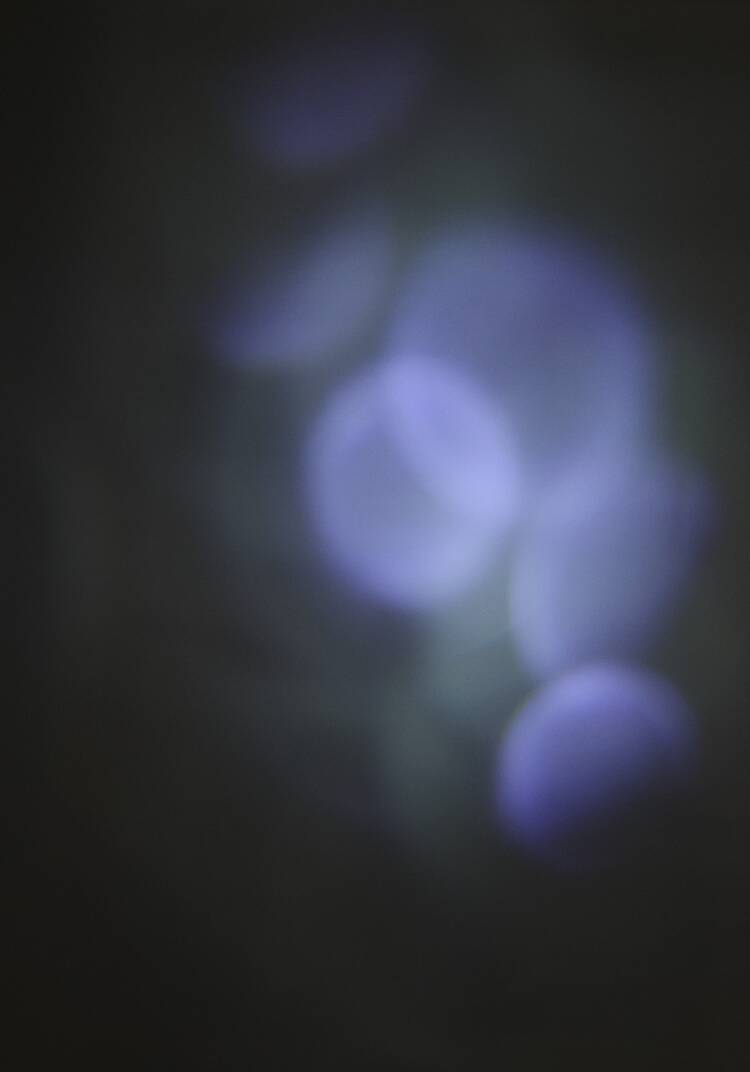 Проектор Магия праздника шир.  750, рис. 7