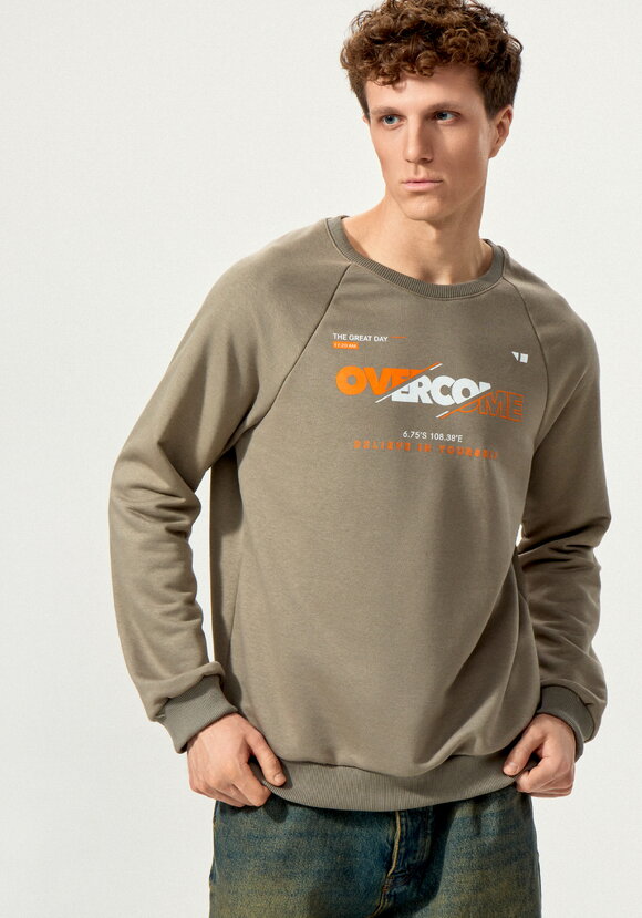 Свитшот с принтом на передней полочке шир.  580, рис. 1