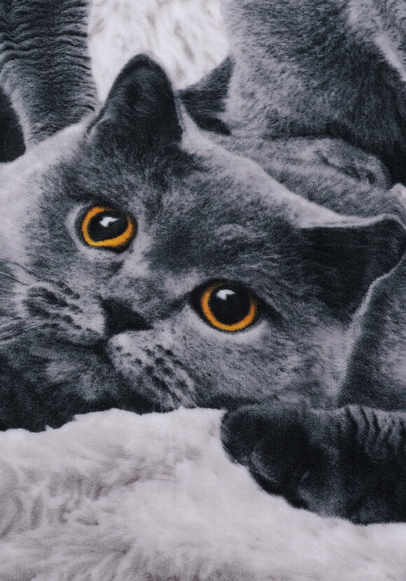 Плед-покрывало Котики шир.  580, рис. 4