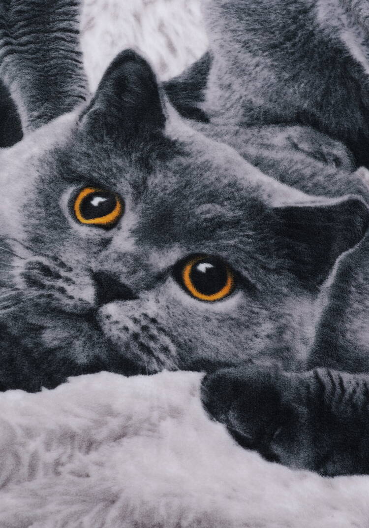 Плед-покрывало Котики шир.  750, рис. 4