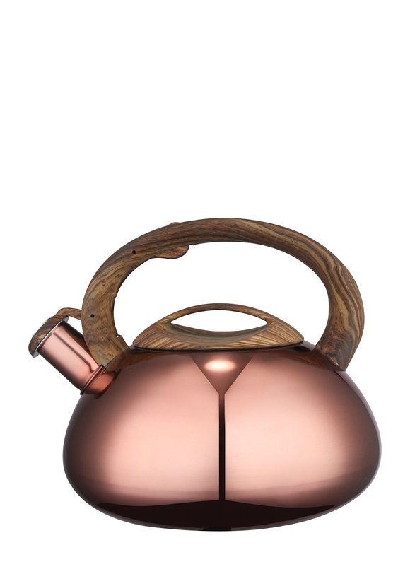 Чайник со свистком AERIS шир.  580, рис. 1