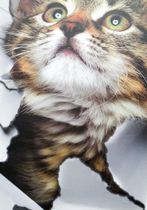 Наклейка интерьерная 3D Милая киса, 4 шт. шир.  580, рис. 3