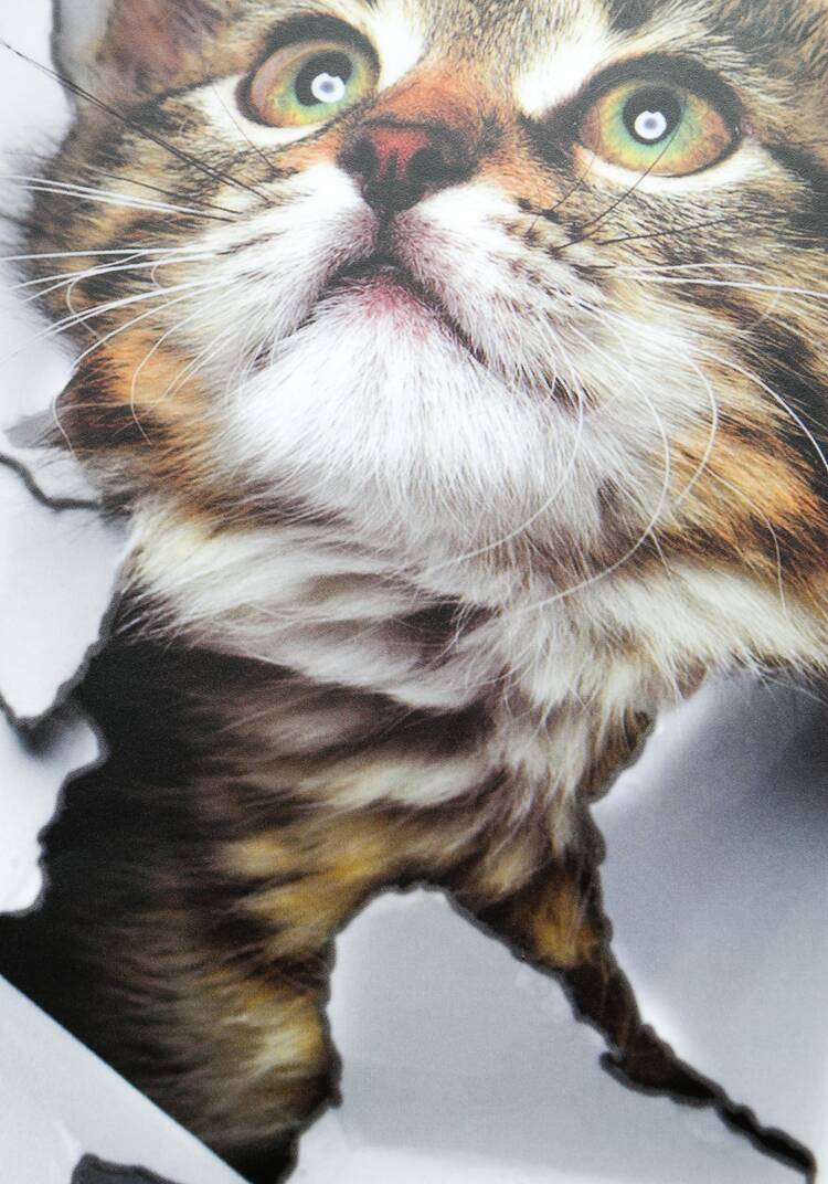 Наклейка интерьерная 3D Милая киса, 4 шт. шир.  750, рис. 3