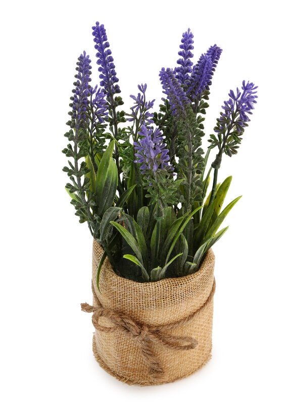 Изделие декоративное в горшке Лаванда шир.  580, рис. 2
