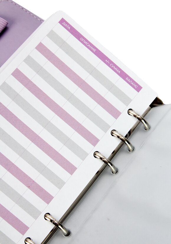 Планировщик бюджета Денежный блокнот шир.  580, рис. 8