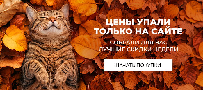 Снизили цену только на сайте (Цены упали)