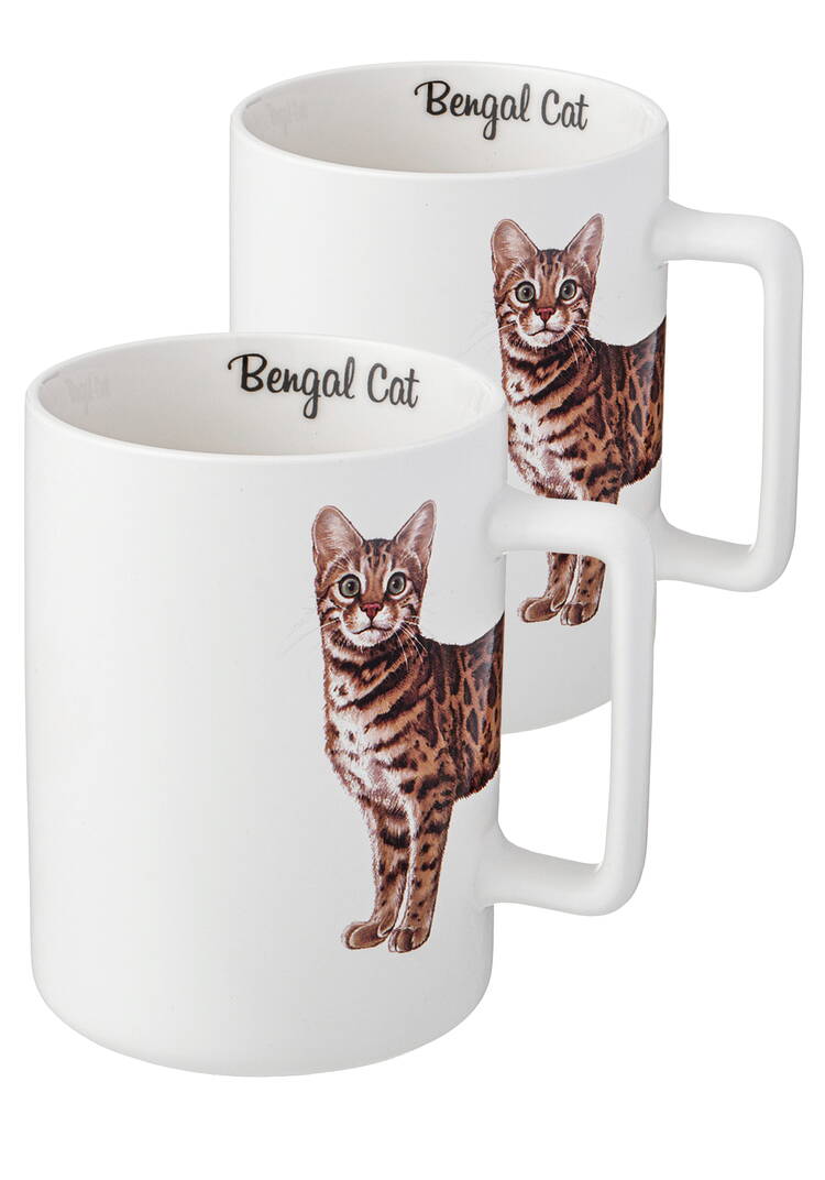 Кружки из фарфора Любимцы, 2 шт. шир.  750, рис. 9