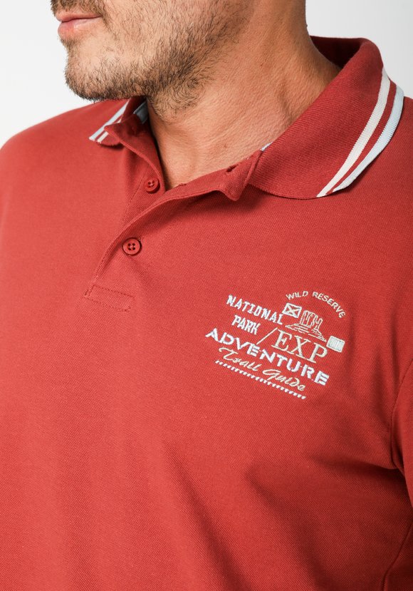 Комплект трикотажных поло Аризона шир.  580, рис. 9