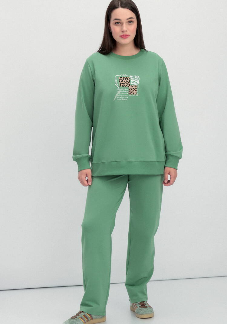 Комплект (брюки и свитшот с принтом) шир.  750, рис. 46