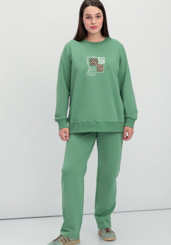 Комплект (брюки и свитшот с принтом) шир.  580, рис. 46