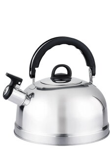Чайник со свистком для плиты