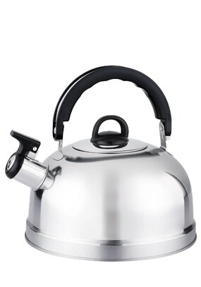 Чайник со свистком для плиты
