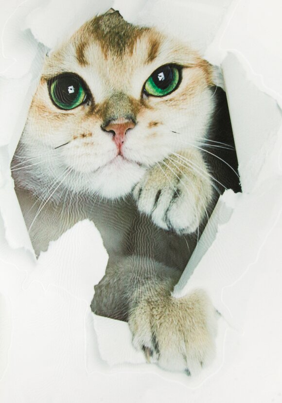 Наклейка интерьерная 3D Три кошки шир.  580, рис. 5