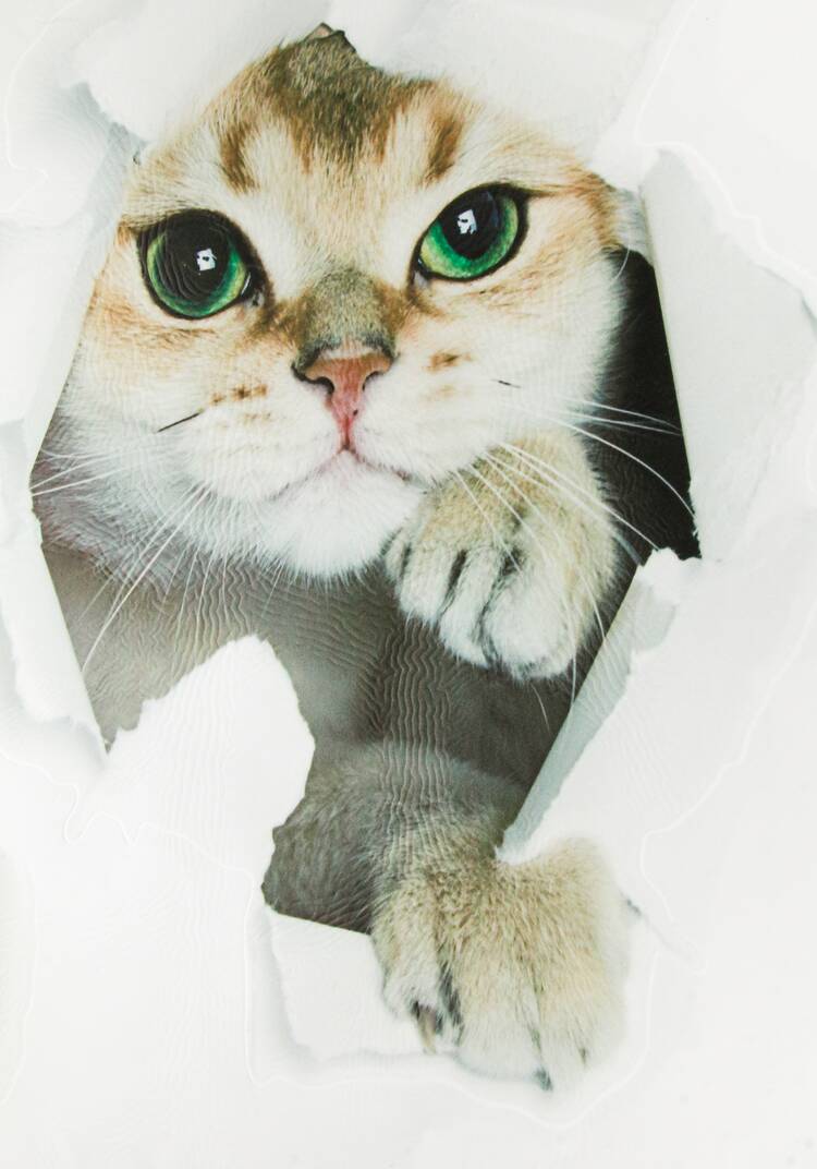 Наклейка интерьерная 3D Три кошки шир.  750, рис. 5