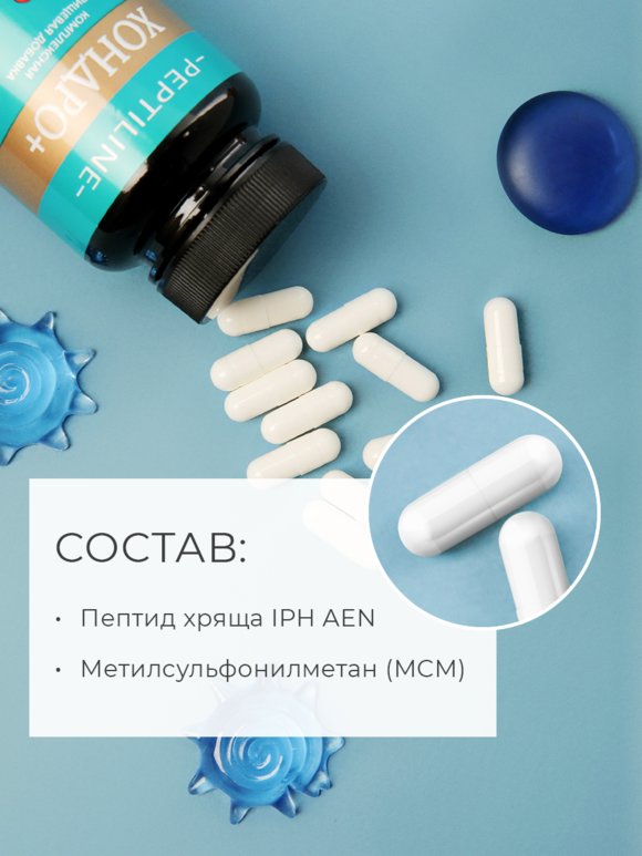 Хондро + для восстановления хрящевой ткани шир.  580, рис. 4