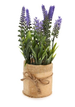 Изделие декоративное в горшке Лаванда