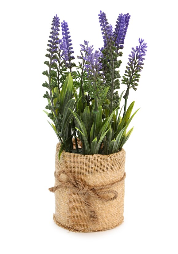 Изделие декоративное в горшке Лаванда шир.  580, рис. 1