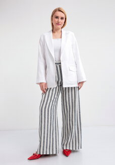 Брюки Диодора