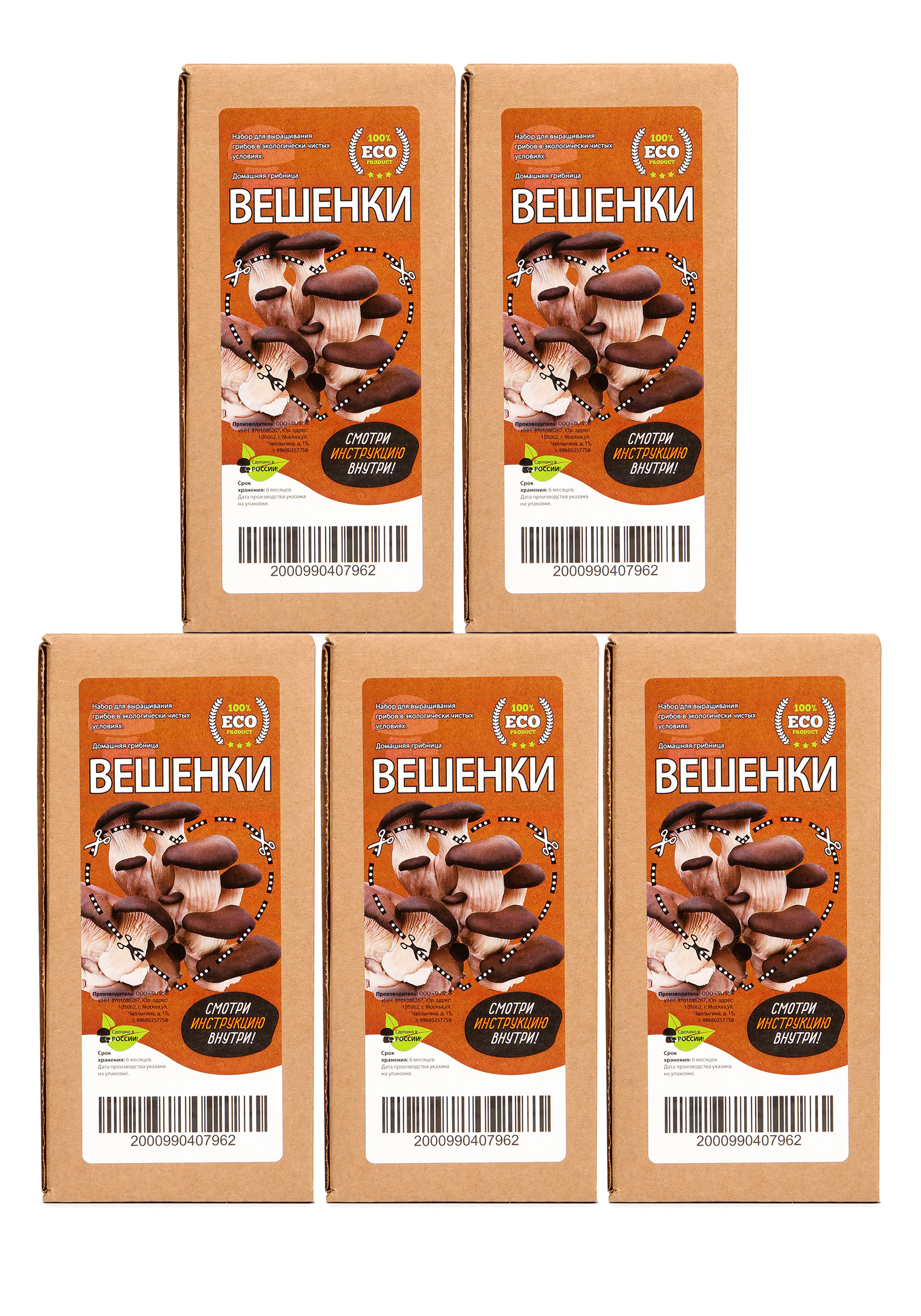 

Набор для выращивания грибов Вешенки, 5 шт., Бежевый
