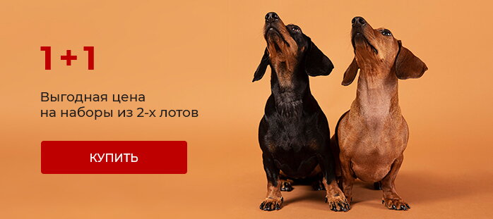1+1 два товара по цене одного