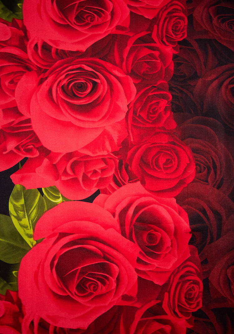 Комплект постельный Смена шир.  750, рис. 19