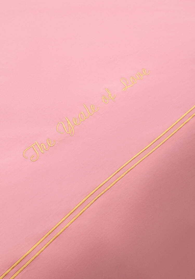 КПБ сатин с вышивкой, евро шир.  750, рис. 7