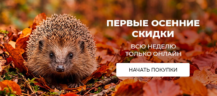 Снизили цену только на сайте (первые осенние скидки) акции