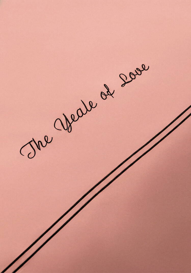 КПБ сатин с вышивкой, евро шир.  750, рис. 18