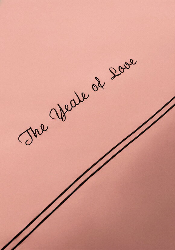 КПБ сатин с вышивкой, евро шир.  580, рис. 18