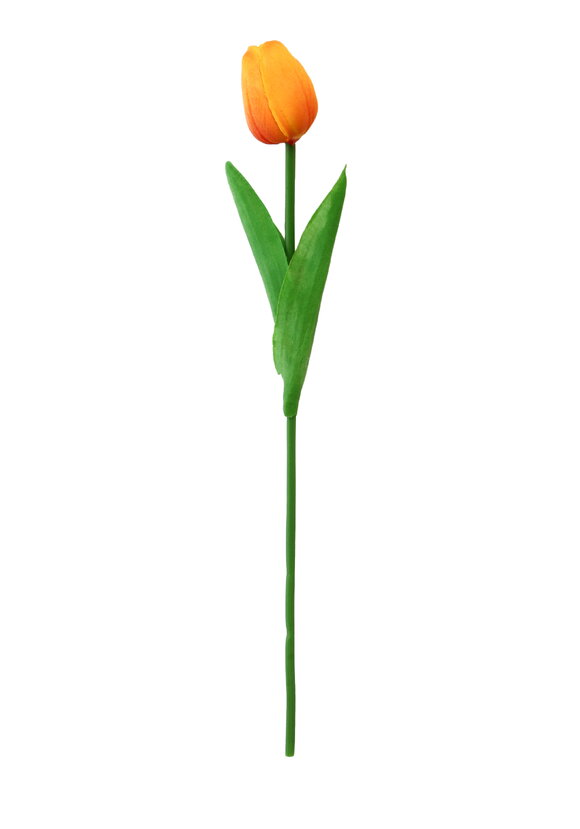 Букет тюльпанов, 9 шт. шир.  580, рис. 15