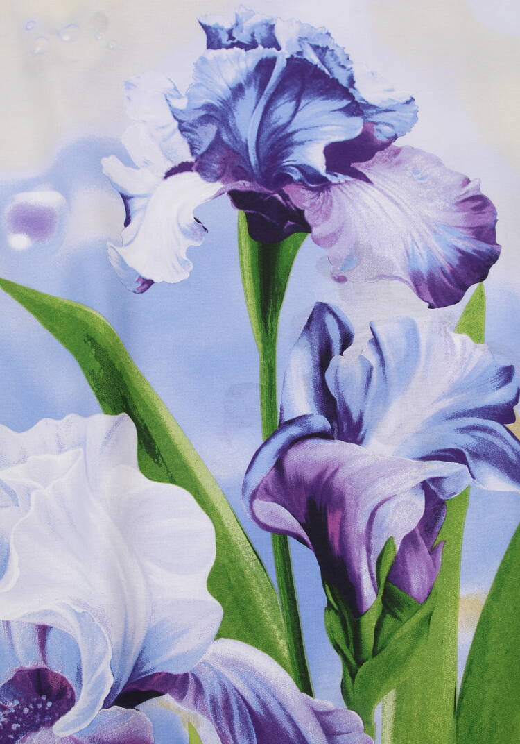 КПБ поплин Ирисы шир.  750, рис. 5