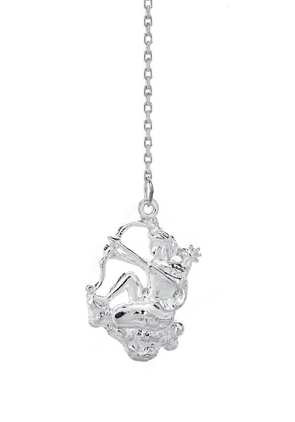 Серебряный ионизатор  воды Зодиак шир.  580, рис. 26