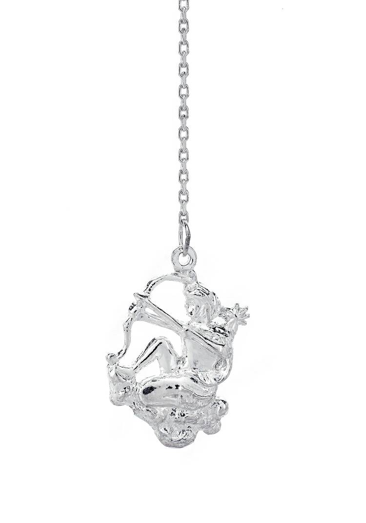 Серебряный ионизатор  воды Зодиак шир.  750, рис. 26